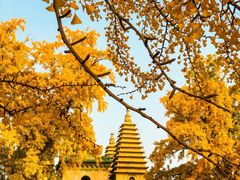 -北京石刻艺术博物馆(五塔寺)