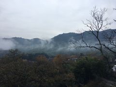 -塔川景区
