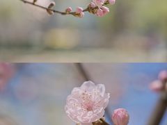 -颐和园