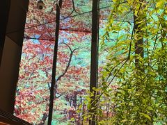 -桂满陇·海市蜃楼·黑金(国金店)