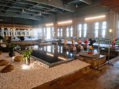 -深业半汤御泉庄温泉