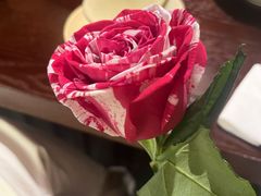 -滇野云南野生菌餐厅(陕西南路店)