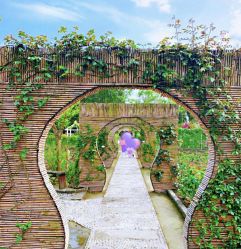 -萌宠亲子动物乐园(槐房万达店)