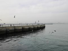 -东港音乐喷泉广场