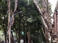 -集美学村