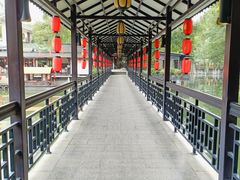 -侨美·唐荔园·40年地道粤菜