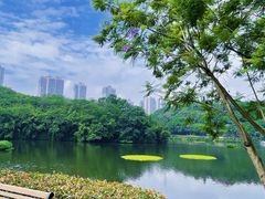 -重庆彩云湖湿地公园