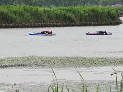 -春花秋色城市公园