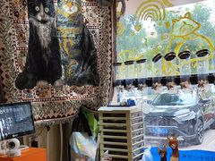 -平行世界·猫咖(首经贸店)