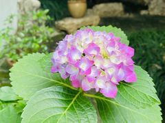 -苏州文旅花间堂·探花府酒店