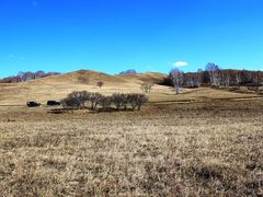 -塞罕坝国家级自然保护区