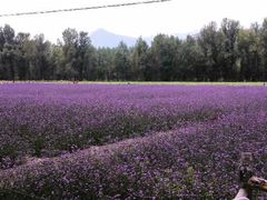 android_upload_pic-乌龙峡谷景区
