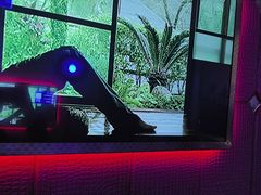 -飞歌e族KTV(雄楚1号店)