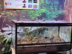 -正佳雨林生态植物园