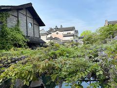-乌镇景区