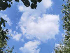 -花开海上生态园