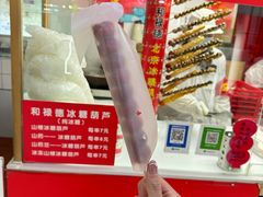-和禄德冰糖葫芦