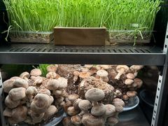 -捞王猪肚鸡火锅(金华义乌之心店)