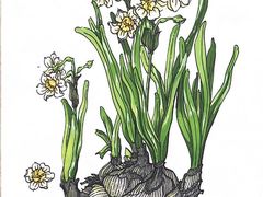 -东方童画少儿美术(莘庄体验馆)