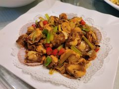 辣炒小扇贝-双井轩(双井店)