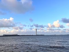 -吴淞炮台湾湿地森林公园烧烤区