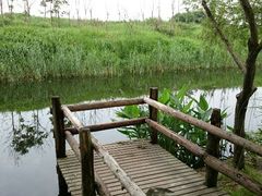 -新江湾城公园