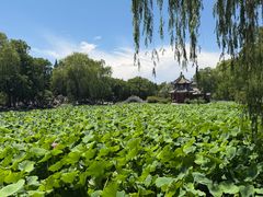 -莲池书院博物馆