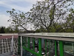 -EATALIA意塔利意式餐厅(鼓楼店)