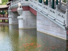 -西海子公园