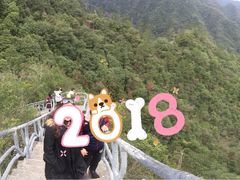 -龙湾潭国家森林公园