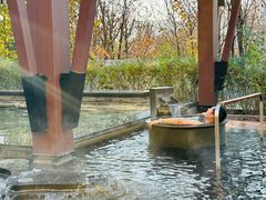 -清河半岛温泉度假酒店