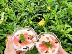 -春天里餐厅·云南创意菜特色美食(束河店)