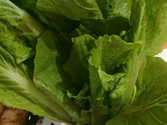 小白菜-小龙坎老火锅(北京三里屯店)