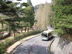 -神户市立六甲山牧场