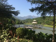 -田野绿世界