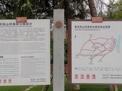 -铁山坪森林公园