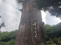 -青青世界