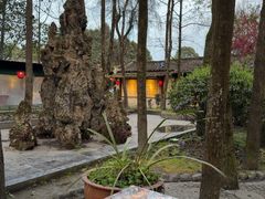 -土灶人家柴火鸡(都江堰店)