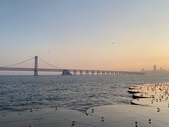 -星海湾跨海大桥