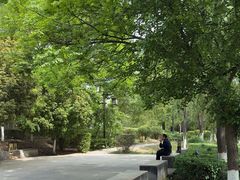 -西安汉城湖景区