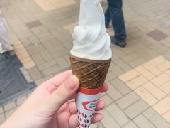 -富豪雪糕车流动点(尖沙咀店)