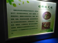 -上海昆虫博物馆