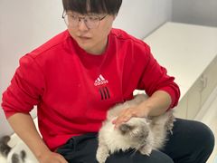 -喵的天空名猫咖啡馆·撸猫·猫舍·用品