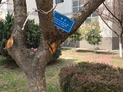 -西安外国语大学(长安校区)