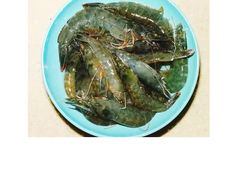 -碧桂园十里银滩