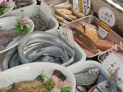 -梅子大排档