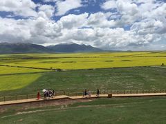 -青海湖国家重点风景名胜区
