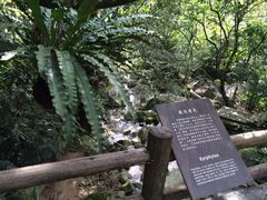 七仙岭君澜温泉度假酒店-七仙岭君澜度假酒店