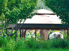 -安德鲁户外烧烤帐篷营地(马泉营店)