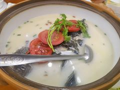 -全乐鱼馆·淳牌有机鱼直营店